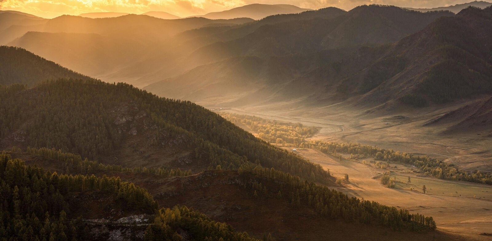 Altai